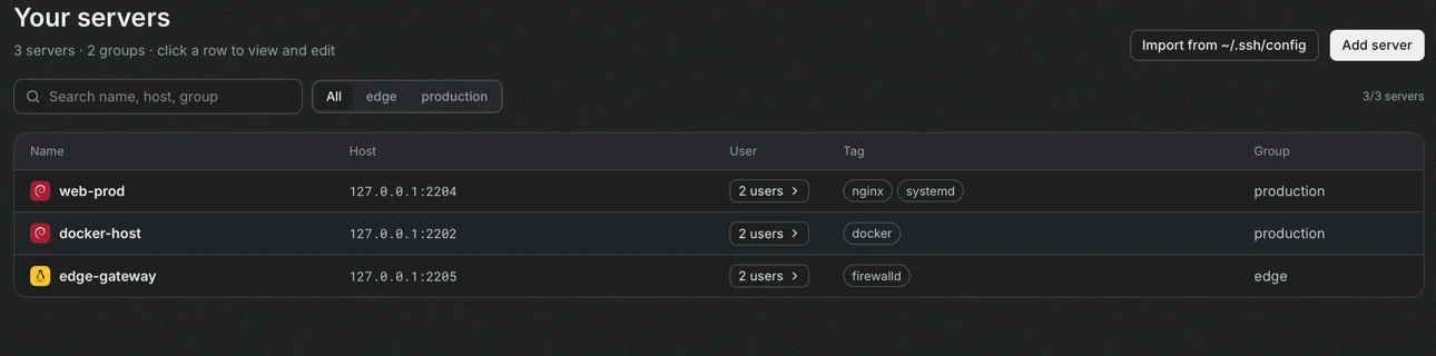 The server list with three servers, showing name, host, number of users, tags and group, with filter chips for the groups.