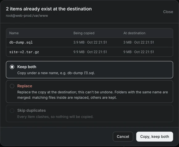 The dialog 2 items already exist at the destination, with a table that compares sizes and times and the choices Keep both, Replace and Skip duplicates.